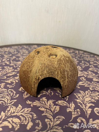 Террариум для рептилий