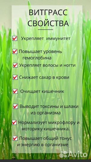 Витграсс - сок из ростков пшеницы