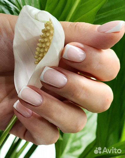 Маникюр Педикюр Наращивание ногтей