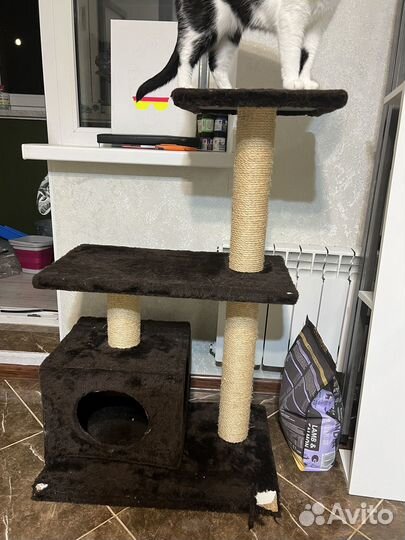 Когтеточка с домиком бу