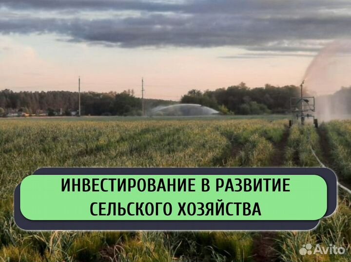 Привлекаем инвестиции в действующий бизнес