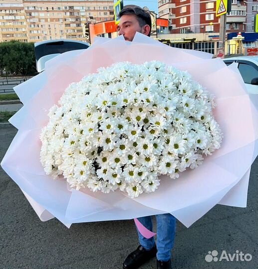 Кустовые хризантемы цветы