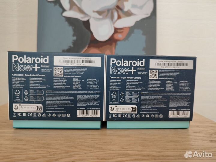 Polaroid now+ / Polaroid now plus