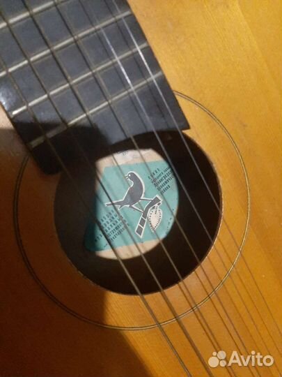 Акустическая гитара