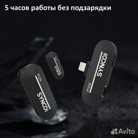 Synco P2XL Радиосистема 2,4 ггц приемник, 2 переда