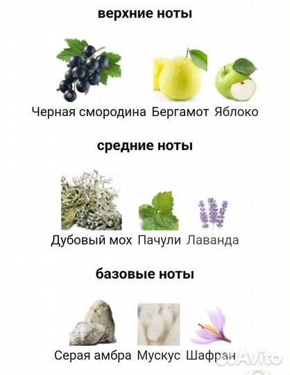 Отливант afnan supremacy Not Only Intense 10 мл