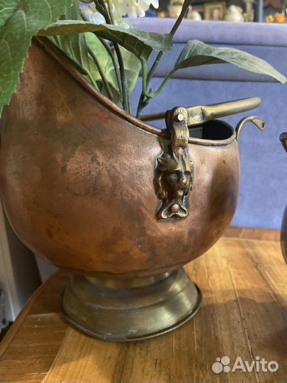 Зольник медный Голландия