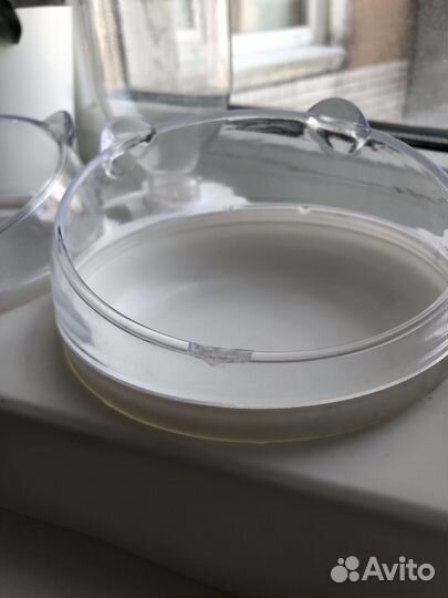 Миска для животных