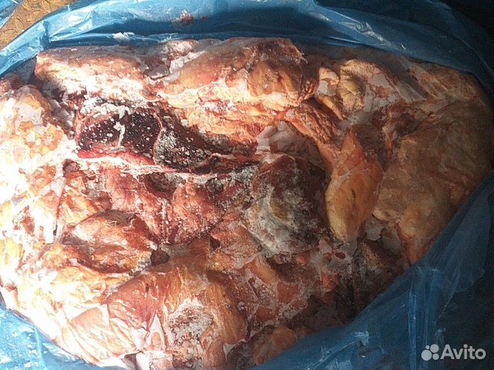 Корм для животных