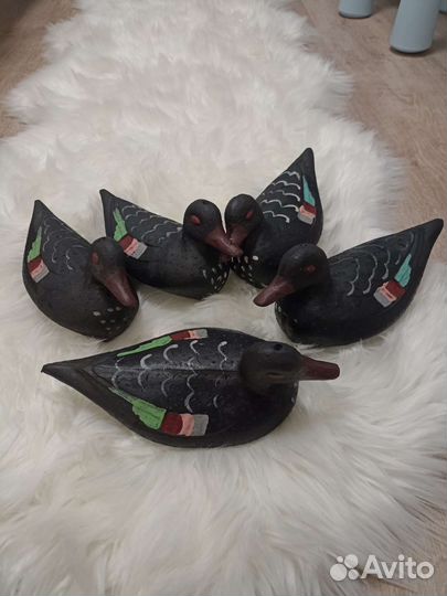 Утки подсадные для охоты