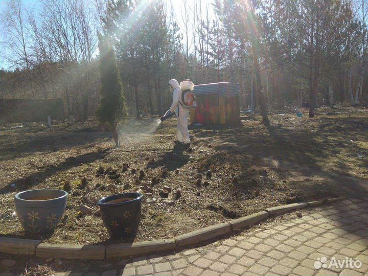 Уничтожение борщевика,уничтожение клещей,ос и т.д