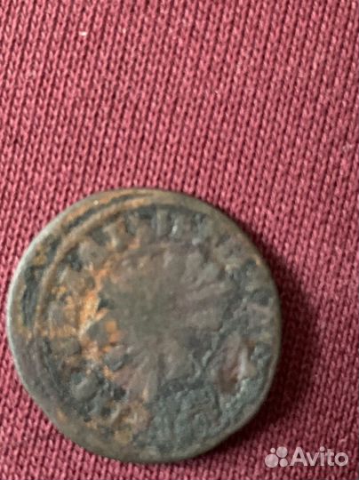 Палушка петровская ювз