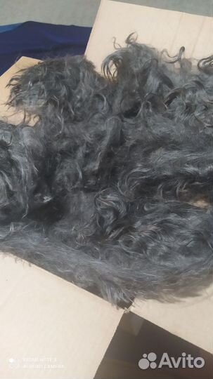 Пуховые козы