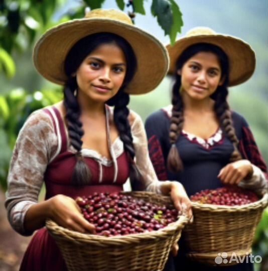 Зеленый кофе опт