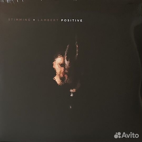 Stimming X Lambert – Positive 2LP (Германия)