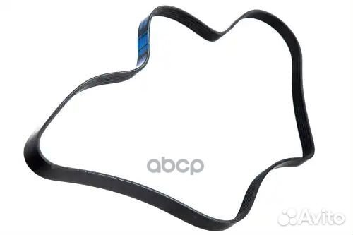 Ремень поликлиновой 6PK1605 thermo king