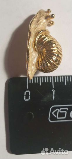 Улитка позолоченная