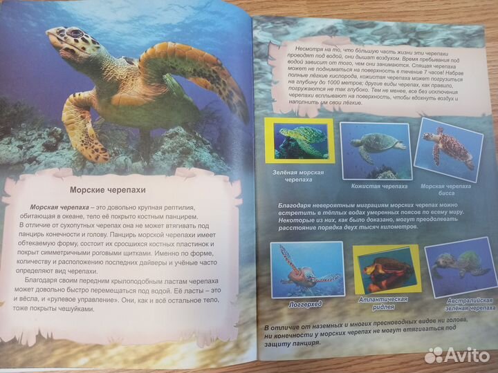 Детские музыкальные книги, энциклопедии