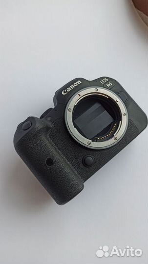 Canon R6 + RF 35mm 1.8