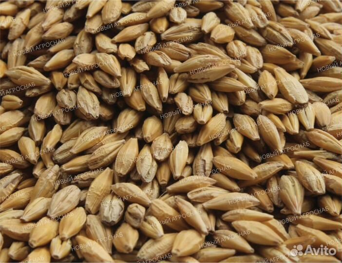 Зерно в мешках