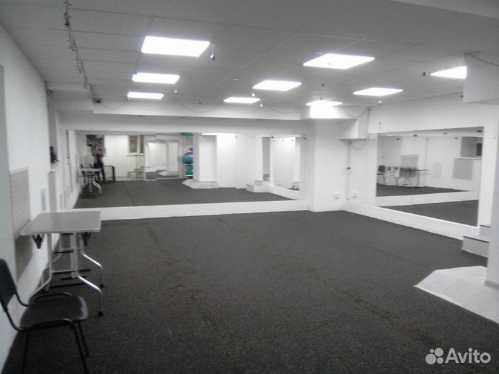 Дрессировка, воспитание, коррекция поведения собак