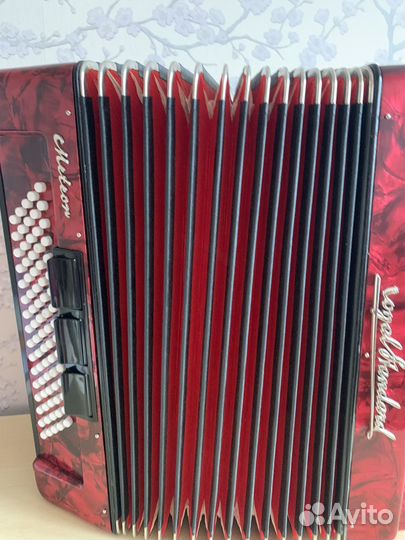 Аккордеон 3 /4