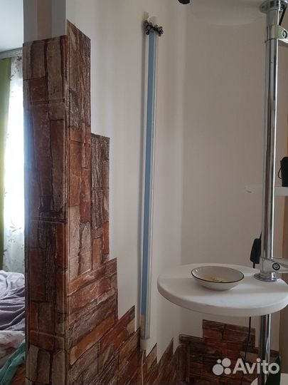 Комнатные цветы+лампа+стойка