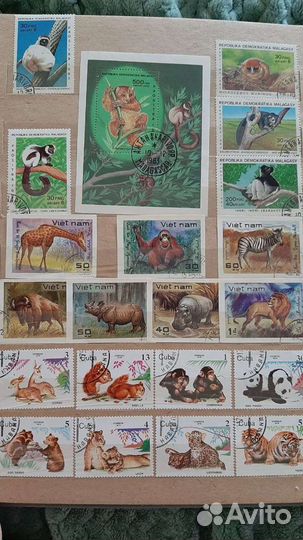 Альбом с марками коллекционный