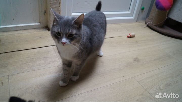 Мальчик Сережка