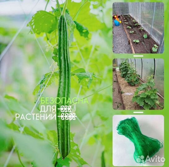 Шпалерная сетка 2х10