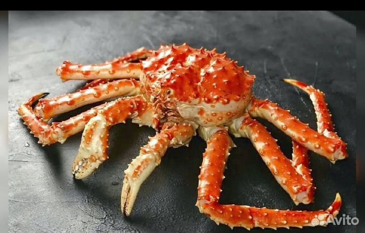 Краб камчатский