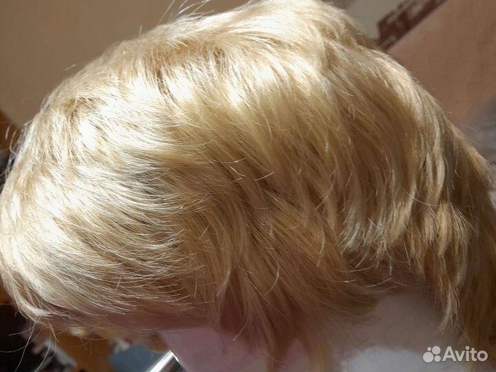 Парик иск сост-е нового