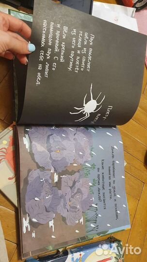 Книжки и игра с фонариком