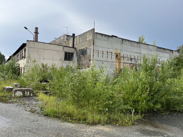 Производственное помещение, 3908.3 м²