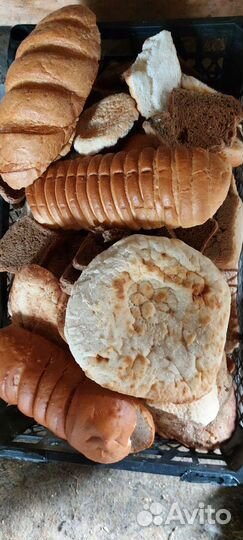 Корм для животных