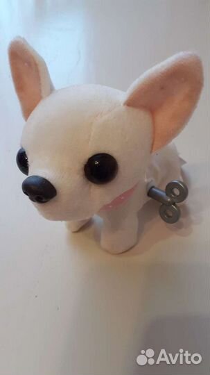 Лол конфетти,собачка чичи лав