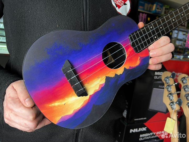 Укулеле flight концерт