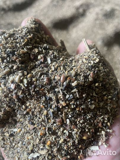 Зерно смесь