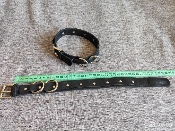 Ошейник для собак мелких пород