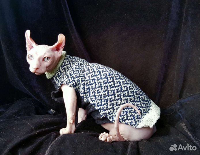 Двэльф. Девочка