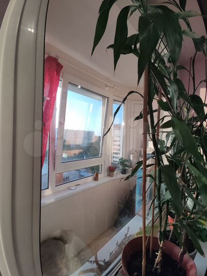 3-к. квартира, 68 м², 8/9 эт.