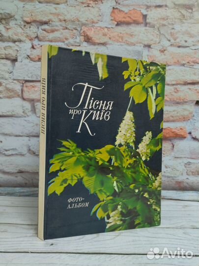 Песня о Киеве. Фотоальбом. 1979 г