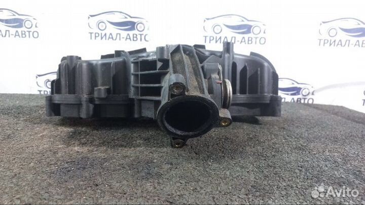 Коллектор q5