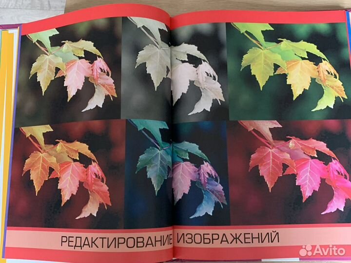 Гид по цифровой фотографии Майкл Райт