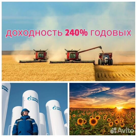 Инвестиции в готовый бизнес, партнёрство, займ