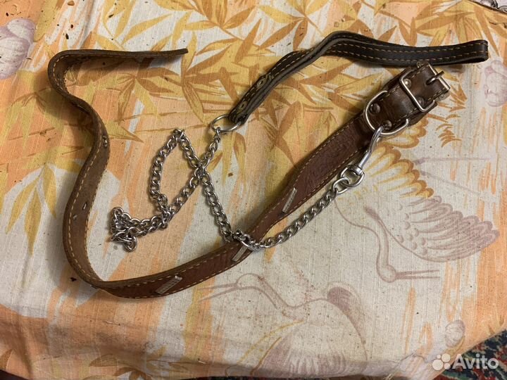 Поводок с ошейником