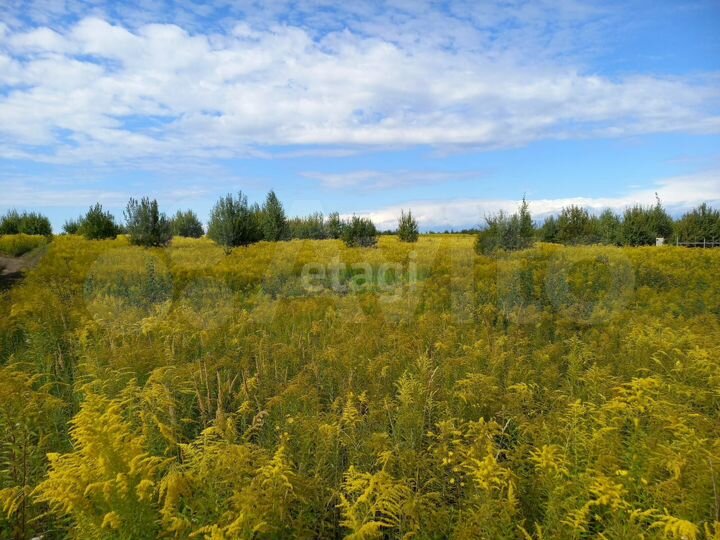 Участок 14,5 сот. (ИЖС)