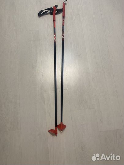 Лыжные палки