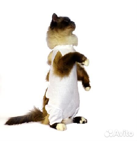 Osso Послеоперационнная попона р.4 Пп-1004 0,040 к