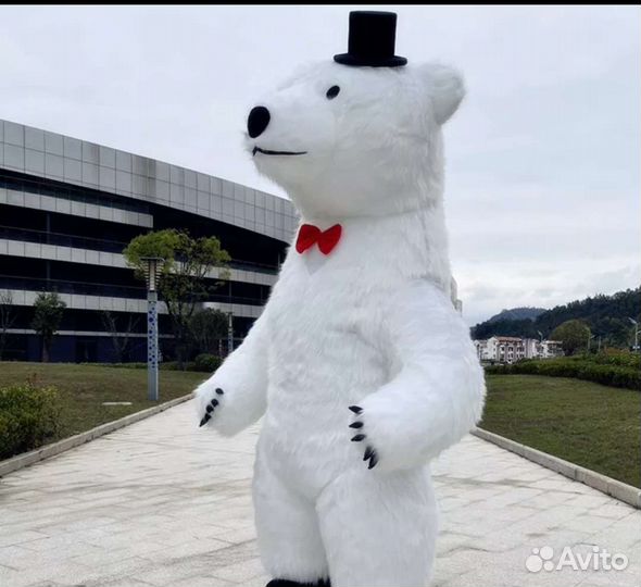 Большой белый медведь, аэрокостюм